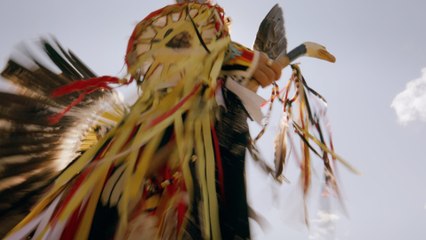 En quête de racines