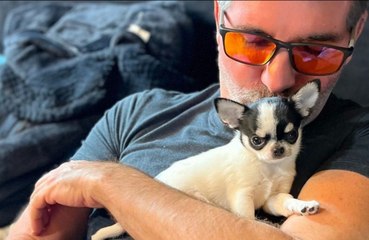Simon Cowell adopts another puppy
