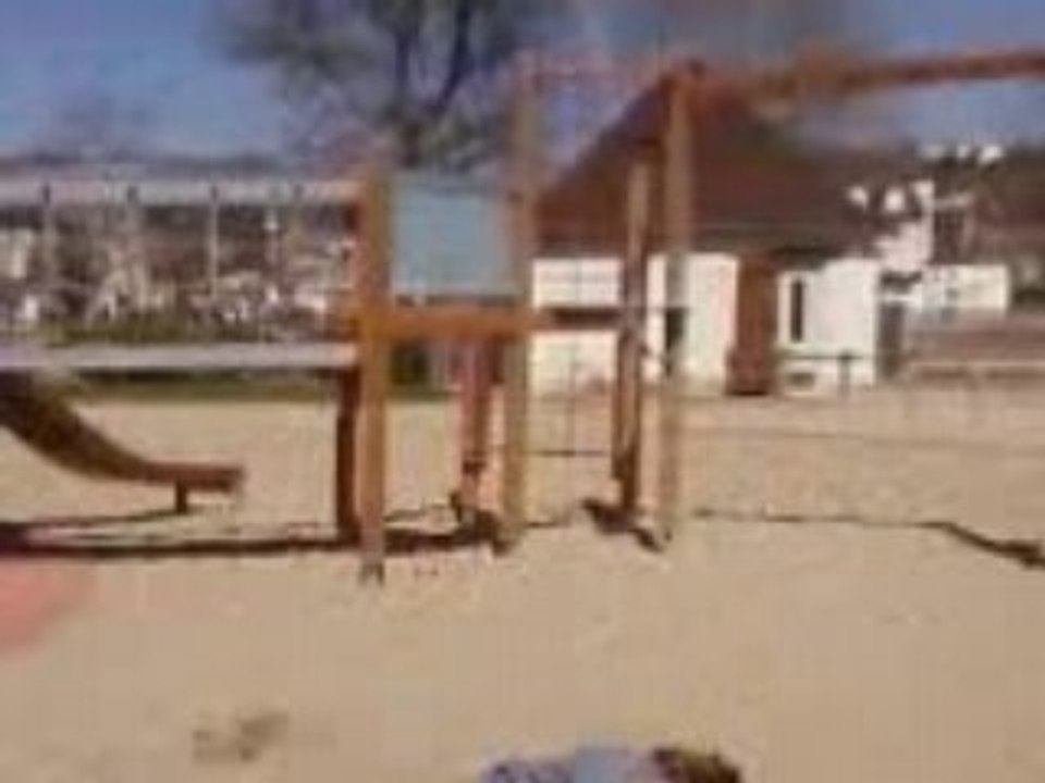 Robin sauteur version 1