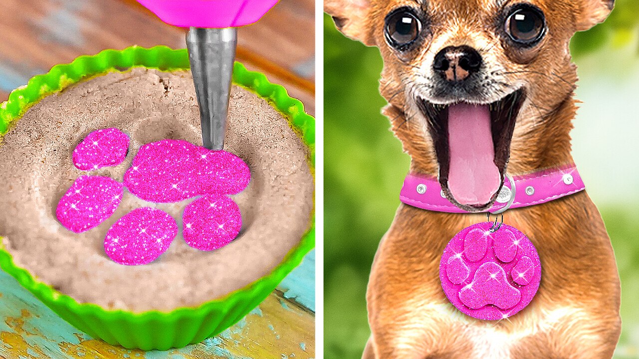Cute DIYs And Hacks For Pet Lovers   