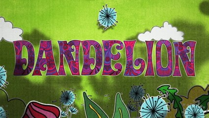 The Rolling Stones - Dandelion (Lyric Video)