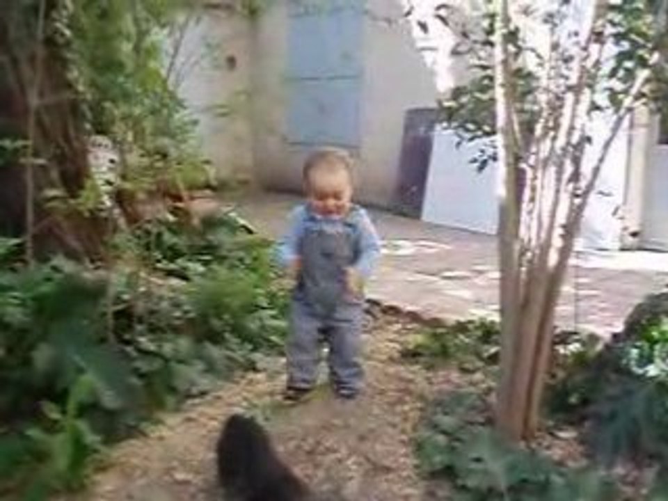 jardin