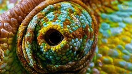 Things That Will Make You Question What's Real