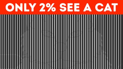 MOST Unusual Optical Illusions to Confuse Your Friend!