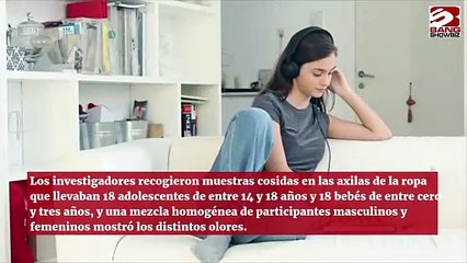 Los adolescentes huelen a cabra y a queso