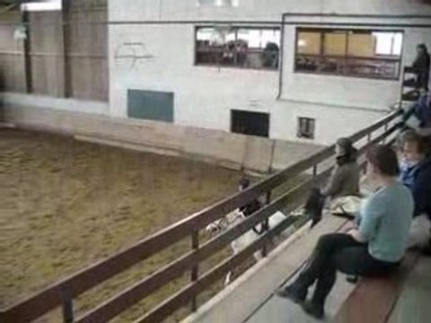 challenge frip marion 1