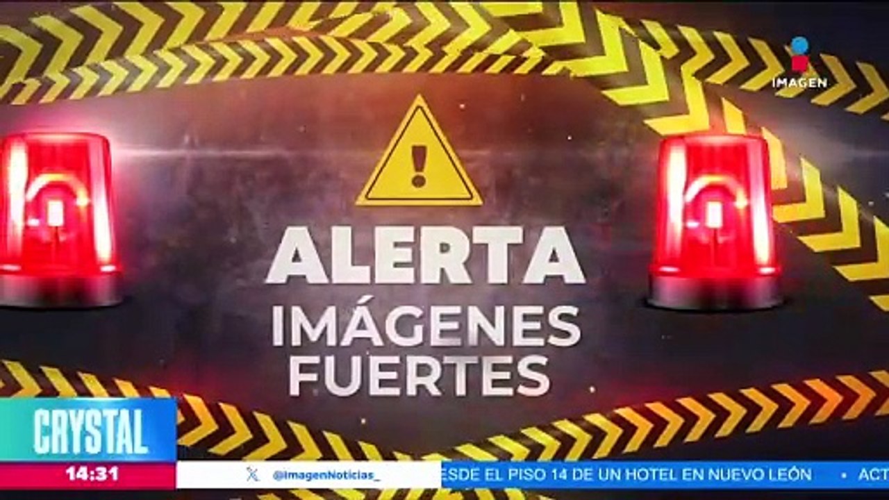 Perrito es asesinado a machetazos en Tijuana