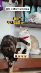 Wife is Always Watching You  Be Careful