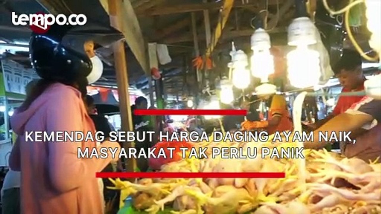 Kemendag Sebut Harga Daging Ayam Naik, Masyarakat Tak Perlu Panik