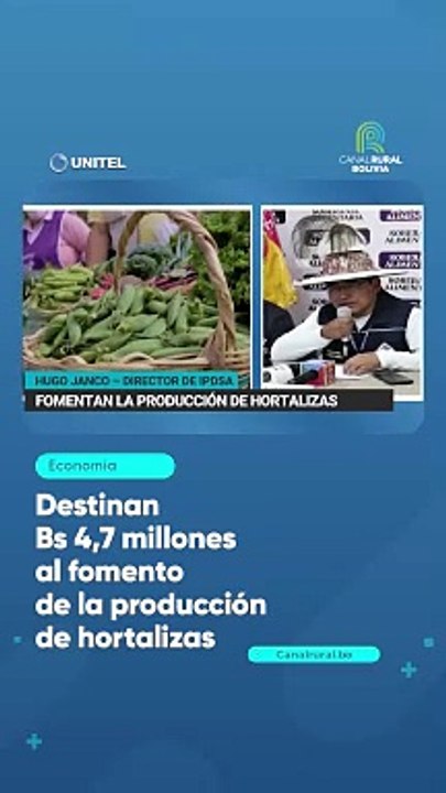 Destinan Bs 4,7 millones al fomento de la producción de hortalizas