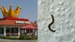 Hombre encuentra gusano en su hamburguesa de Burger King