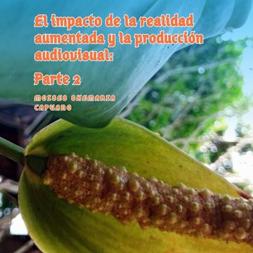 Moises Shemaria Capuano| La Realidad Aumentada es una herramienta (Parte 2) (Creado por @MoisesShemariaCapuano)