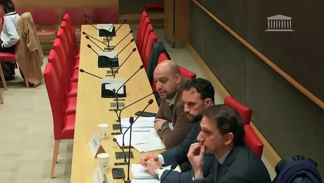 Modèle économique des crèches et qualité de l’accueil des jeunes enfants : Fédération du service aux particuliers (FESP) ; Regroupement des entreprises de micro-crèches (REMi) - Mercredi 27 mars 2024