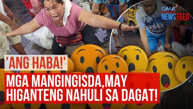 Mga mangingisda, may higanteng nahuli sa dagat! | GMA Integrated Newsfeed