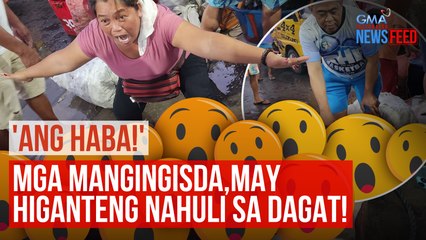 Mga mangingisda, may higanteng nahuli sa dagat! | GMA Integrated Newsfeed