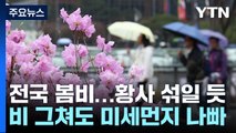 [날씨] 전국에 흙비 이어 내일은 황사...올봄 황사 평년보다↑ / YTN