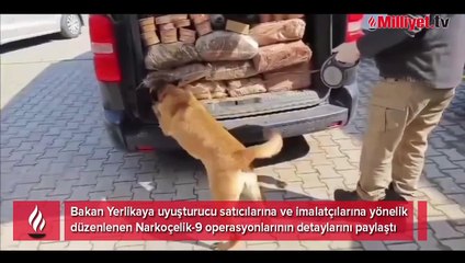 Uyuşturucuya geçit yok! 434 kişi yakalandı