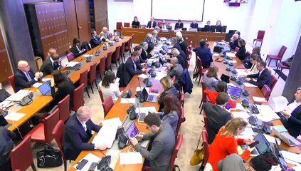 Commission des affaires sociales : Reconnaître et protéger la santé menstruelle et gynécologique dans le monde du travail - Mercredi 27 mars 2024