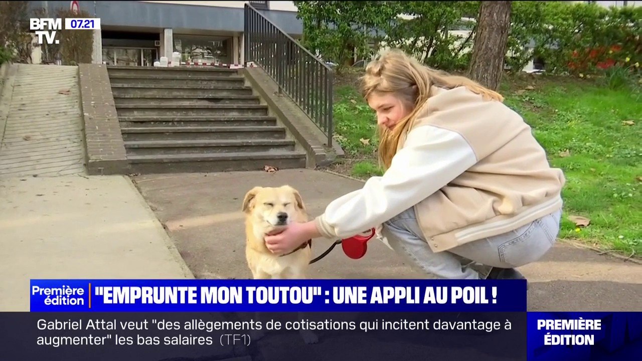 "Emprunte mon toutou", l'application qui met en relation des bénévoles et des maîtres qui manquent de temps pour les promenades