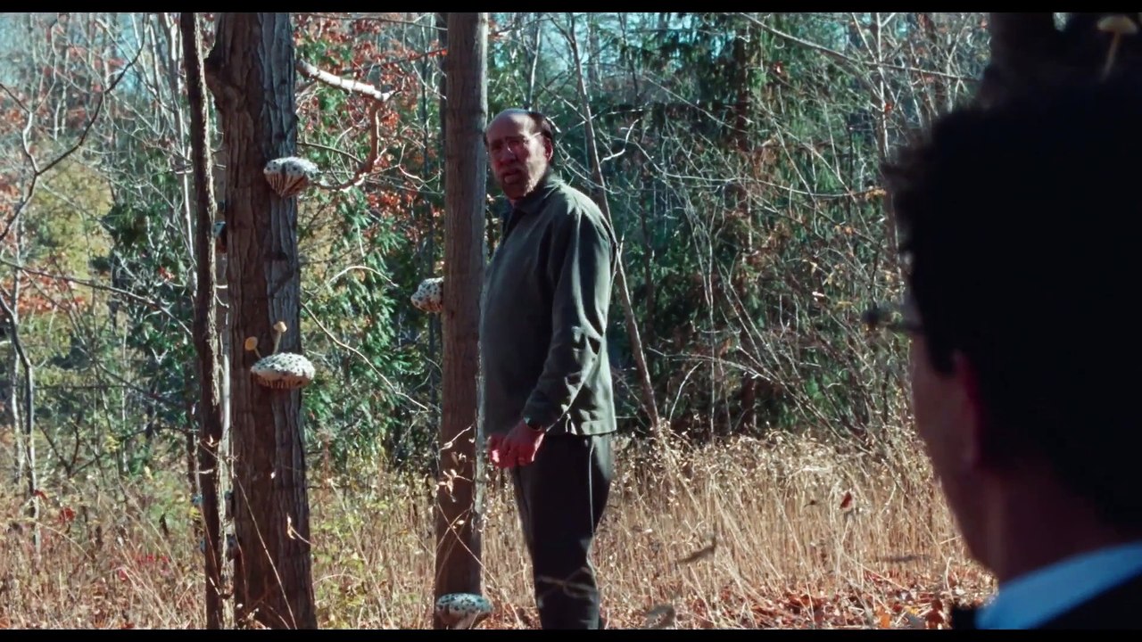 DREAM SCENARIO Film - Clips und Trailer