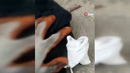 İmam, ayağı kırılan kargayı tedavi etti