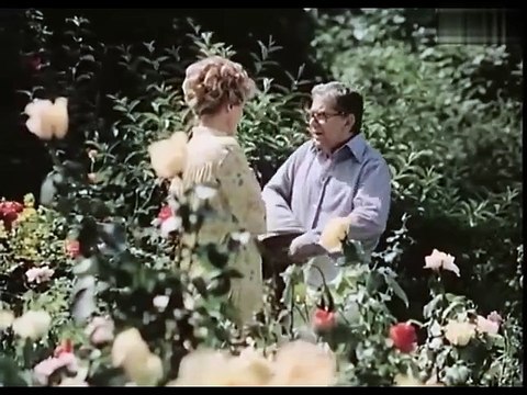 Aber Doktor (1980)