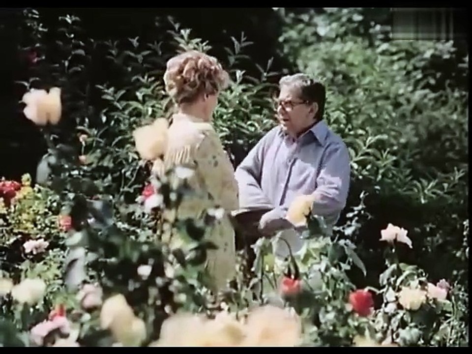 Aber Doktor (DDR1980)