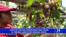 Cañete: turistas visitan Lunahuaná para pasar feriado largo por Semana Santa