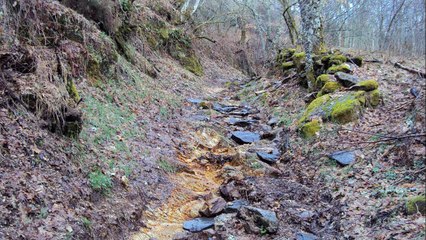 29 mars 2010 - LUBIAN  - A GUDINA