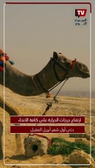 نلبس شتوي ولا صيفي؟.. تحذير جديد من الأرصاد بشأن موجة الطقس الحار في رمضان