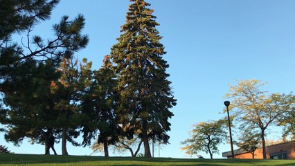 El Silencio de las mañanas | movie | 2021 | Official Trailer