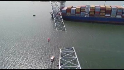 A Baltimora recuperati due corpi, pilota cargo diede l'allarme