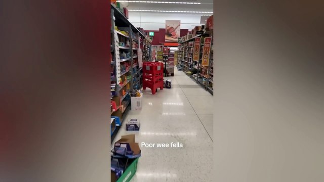 Funny Compilation #62 - Scare Cam Pranks 2024 - Funny Scare Prank - Jump Scare