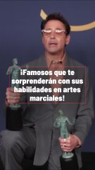 Famosos Expertos En Artes Marciales.