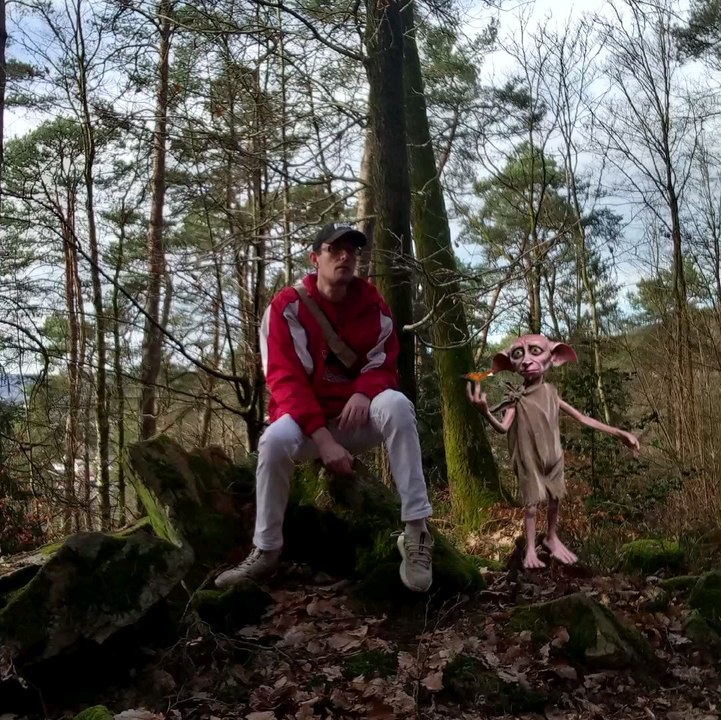 "L'Aventure de Cédric et Dobby"