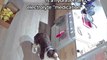 Service Dog Retrieves Drink From Fridge For Owner