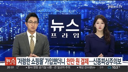[단독] "저렴한 쇼핑몰이라길래 가입했더니 천만원 결제"…신종 피싱사기 주의보
