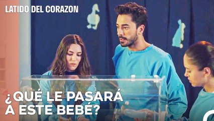 La Preocupación Del Bebé De Ali Y Eylul - Latido Del Corazon