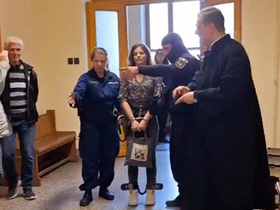 Ilaria Salis di nuovo in catene in tribunale, negati i domiciliari. Il legale: «Trattamento inaccettabile»