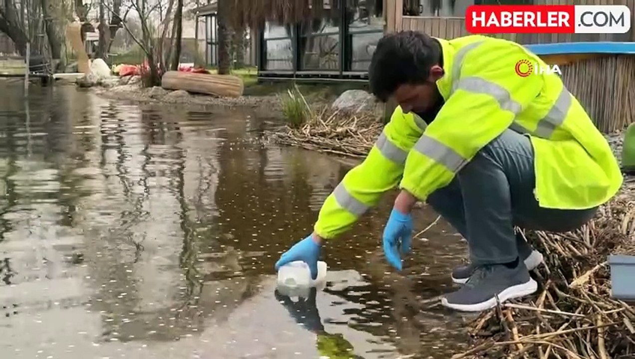 Akaryakıt Sızıntısı Sonrası Sapanca Gölü'nden Sevindiren Haber: Su İçilebilir