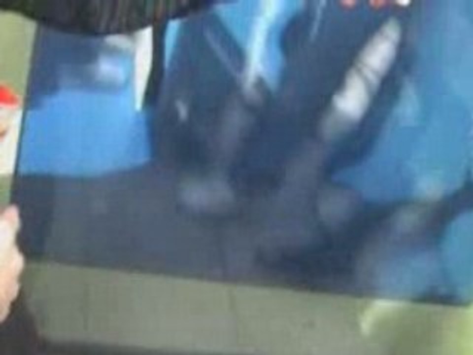 Quartier Vauban (II) La cité solaire