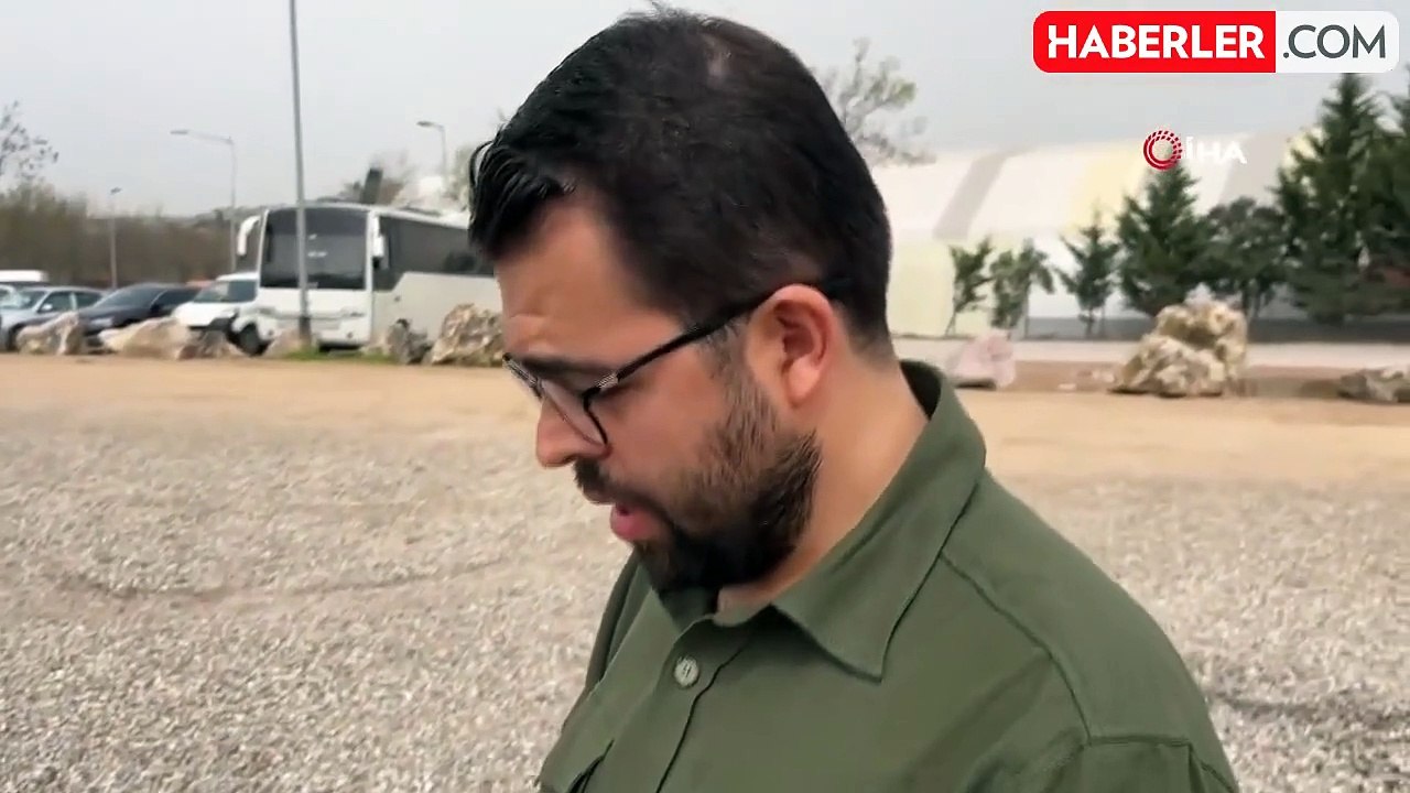 Ölü yunuslar kıyıya vuruyor, sebebi şok etti