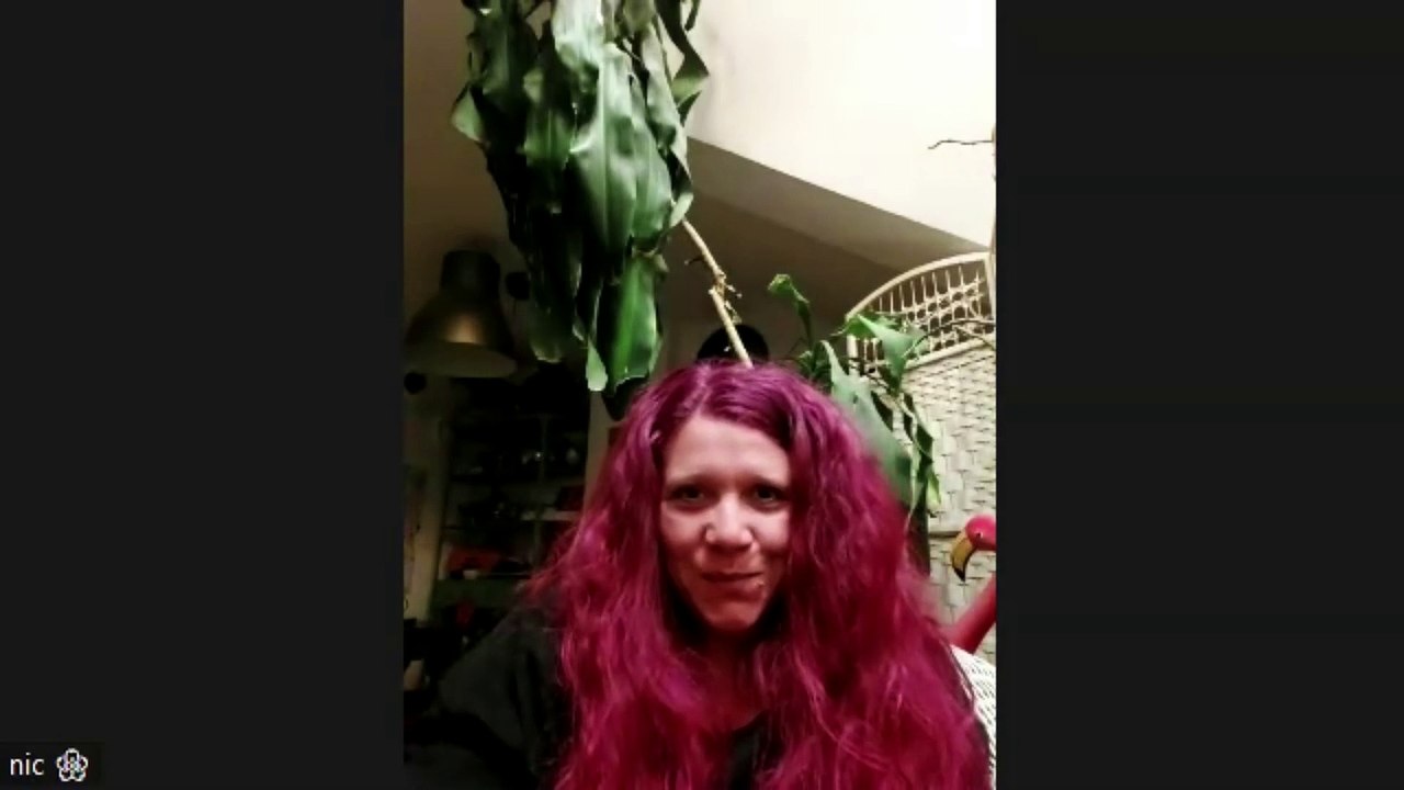 (099) Nic will auswandern | Auswanderung mit Kind nach Costa Rica