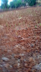 Travel in nature environment.