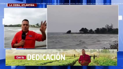 Por vientos racheados y mar "picado", cancelan "tours" marítimos en La Ceiba