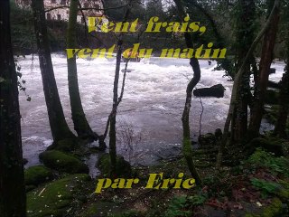 Vent frais, vent du matin