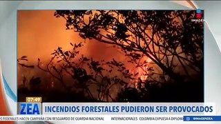 Investigan si incendios forestales en México pudieron ser provocados