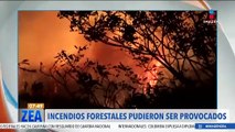 Investigan si incendios forestales en México pudieron ser provocados