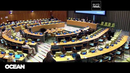 Perché il Trattato sull'alto mare è così importante?