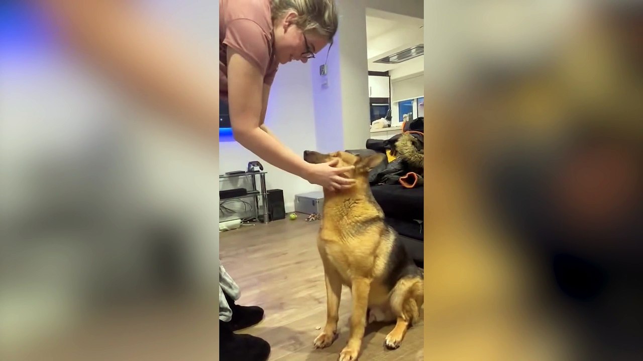 Dog with no eyes still homeless despite 70,000 people viewing viral video appeal